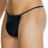 String HOM Plume 359931