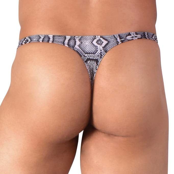 String Joe Snyder 03