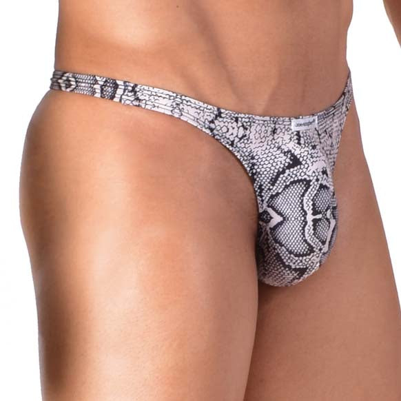 String Joe Snyder 03