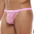 String Modus Vivendi C-through 08017