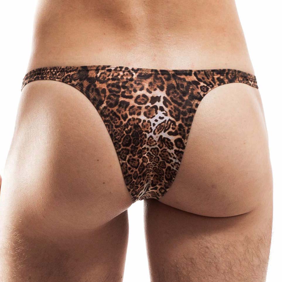 Tanga Wojoer Brauner Leo 0416-B015