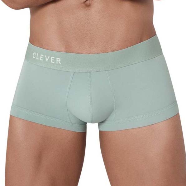 Boxer Clever Tribe 1306