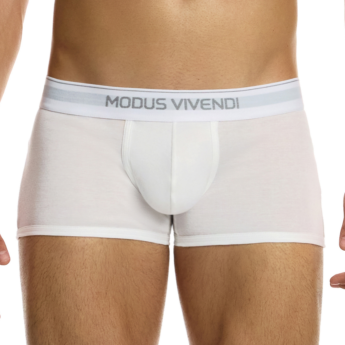 Shorty Modus Vivendi Staple 12421