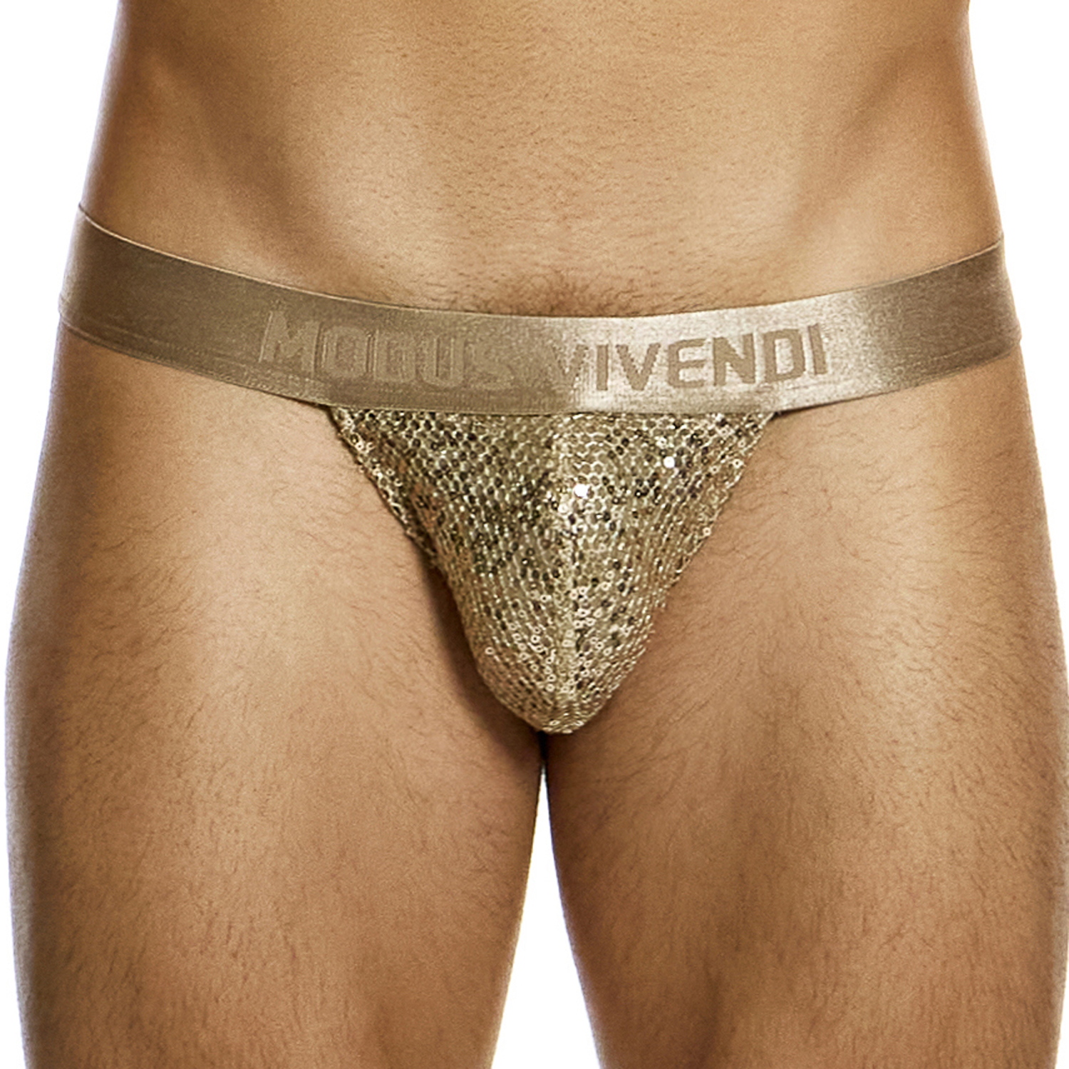 String Harem Modus Vivendi 19411